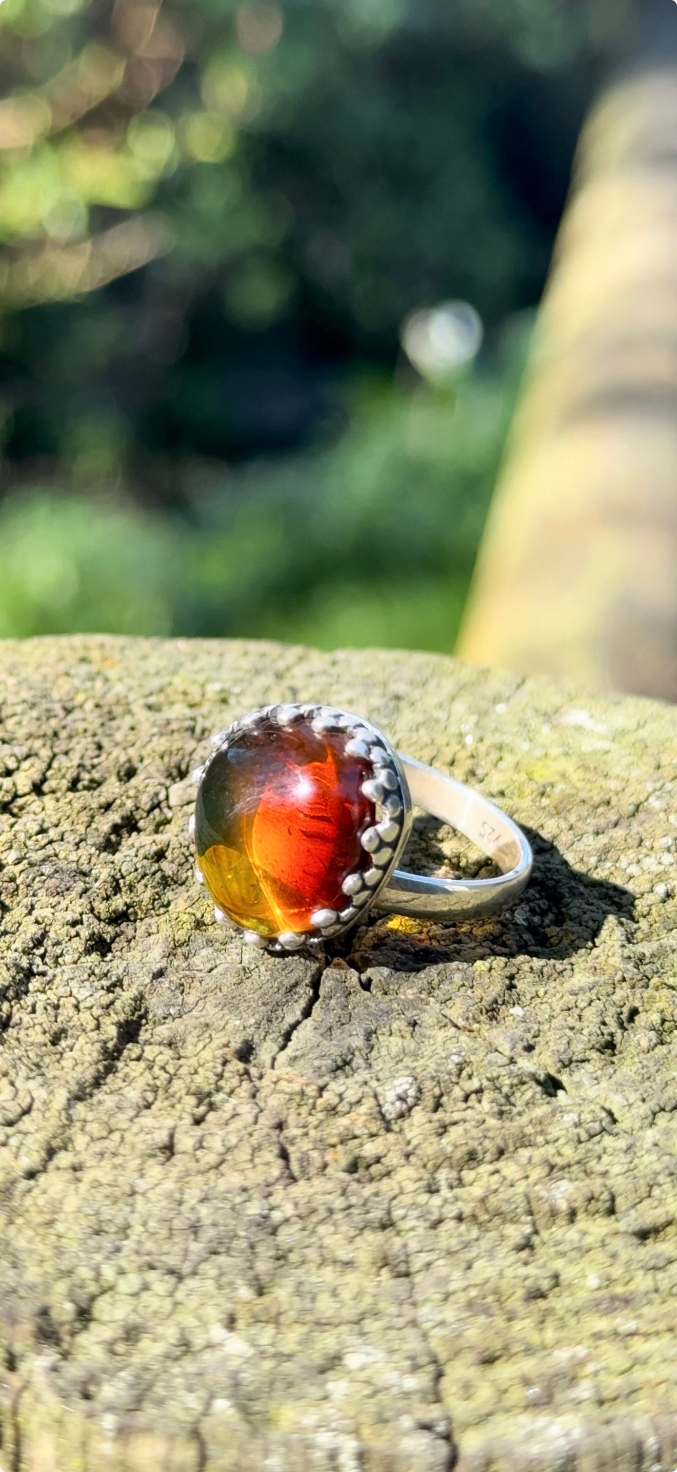 ÁMBAR QUIETO - Amber Ring